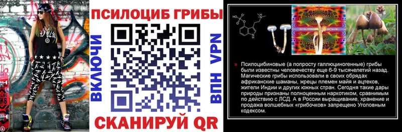 сколько стоит Тюкалинск OMG Галлюциногенные грибы GOLDEN TEACHER